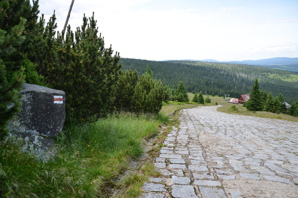 Czerwono-biały znak szlaku namalowany na granitowym głazie, obok granitowy bruk drogi grzbietowej i kosodrzewina, w dole zabudowania Hali Szrenickiej