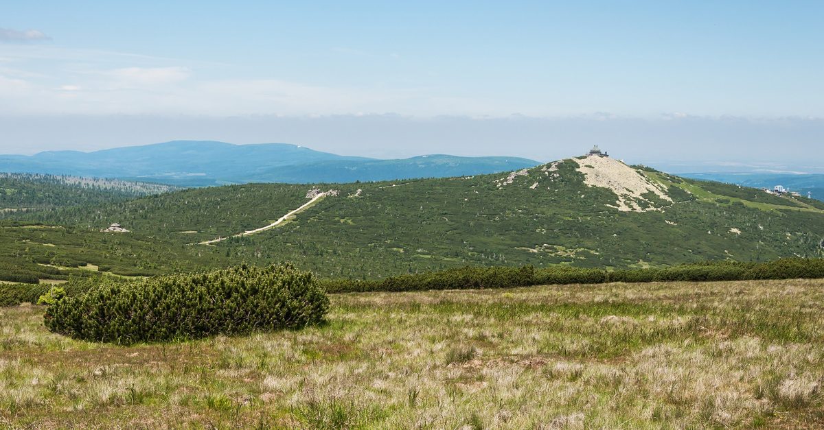 Rozległa panorama grzbietu z halą trawiastą i kosówką, po prawej stożek z budynkiem, w tle błękitne pasma; letni dzień.