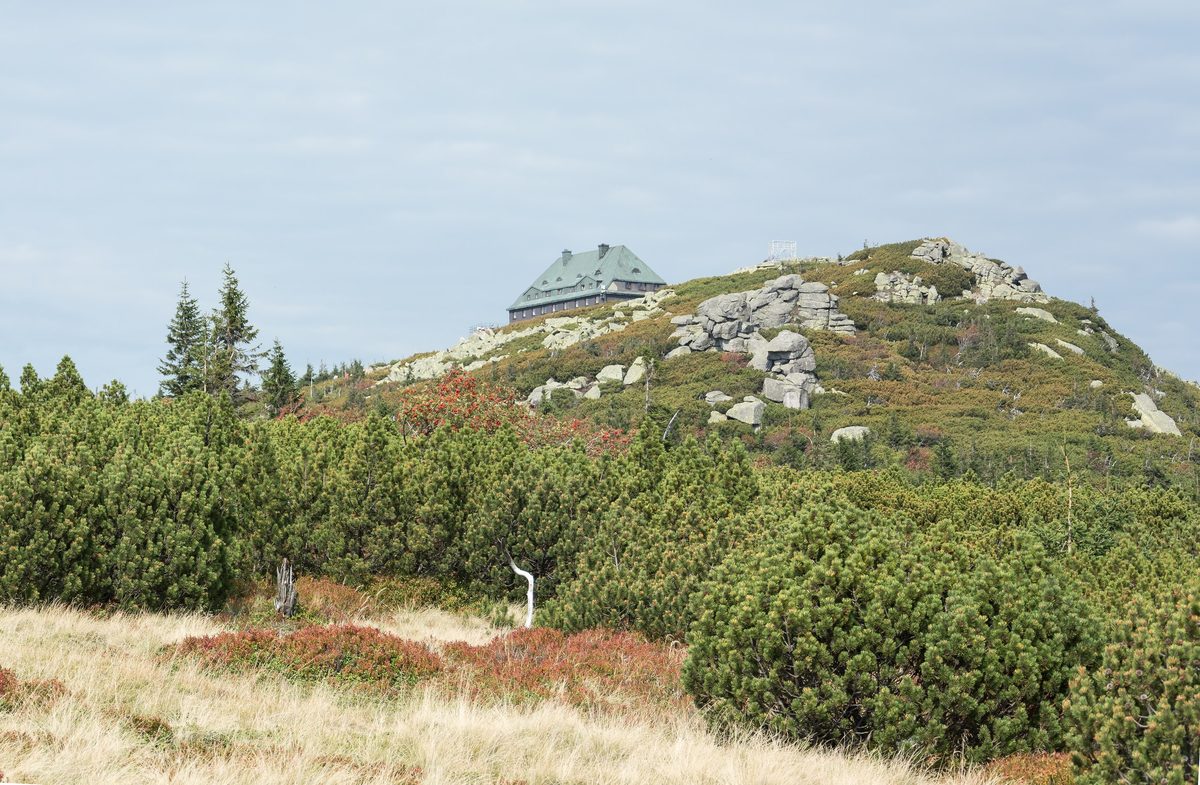 Wzniesienie z granitowymi blokami i budynkiem o zielonym dachu ponad zwartą kosodrzewiną; jesienne barwy borówczysk.